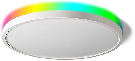 TALOYA Alexa Ceiling Light Smart, WiFi, Compatible with Google, 15.8 Inch Modern Dimmable Flush Mount LED Light Fixture for Living Room Office Kitchen, 28W RGBW