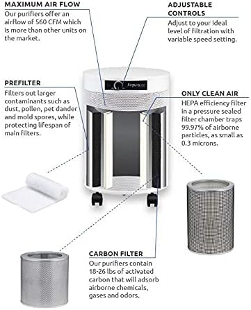 C600DLX AIR PURIFIER HELPS TO ELEMINATE SPECIFIC AIRBORNE PARTICLES INCLUDING VOLATILE ORGANIC COMPOUNDS,IMPROVE AIR QUALITY