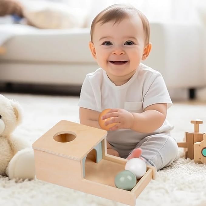 Adena Montessori Play Kit for 7-12 Month Baby,6 in 1 Learning Educational Brain Development Toys for Toddler Includ First Puzzle,Ball Drop Box,Stacking Pegs,First Blocks,Wooden Moving Car,Hand Puppet