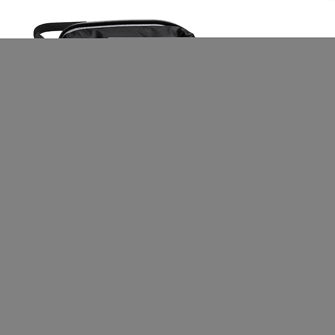 Gaggle by Foundations Roadster Duo Side by Side Double Stroller | Lightweight Compact Double Stroller for Toddlers | Easy to Fold & Maneuver | Amusement Park Approved | Black