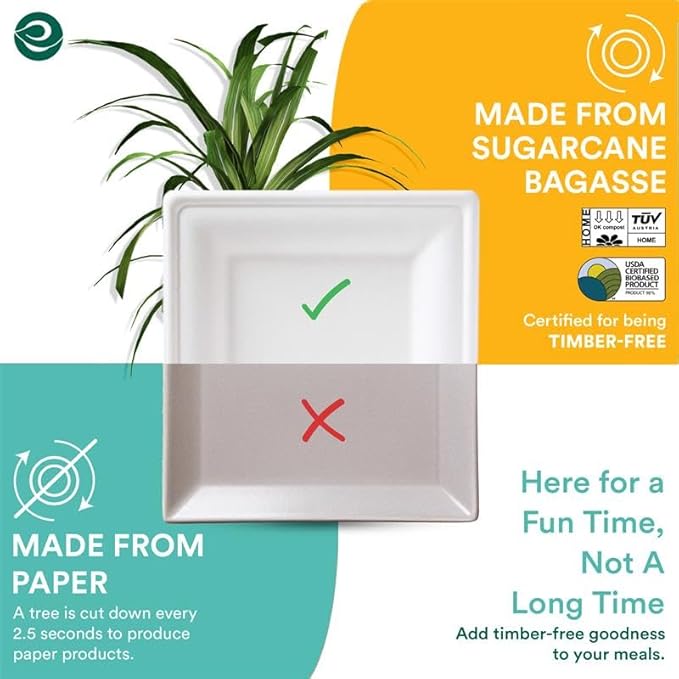 ECO SOUL Pearl White Square Paper Plates (100, 10 Inch)