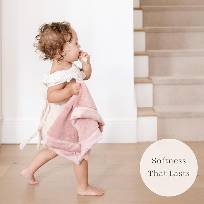 SARANONI Security Blankets for Babies Super Soft Boutique Quality Lush Luxury Baby Blanket (Mini 15" x 20", Ballet Slipper Pink)