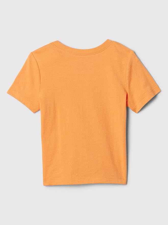 Gap Baby Boys' Short Sleeve Graphic Tee