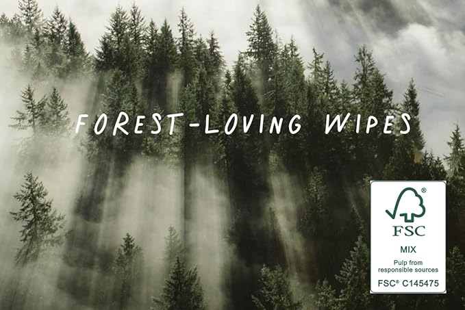 JOONYA Unscented Baby Wipes — Plant-Based, Fragrance-Free Bulk Diaper Wipes | Hypoallergenic, Non-Toxic & Biodegradable Wet Wipes for Sensitive Newborn Skin | 12 Packs of 80 Wipes (960 Total)