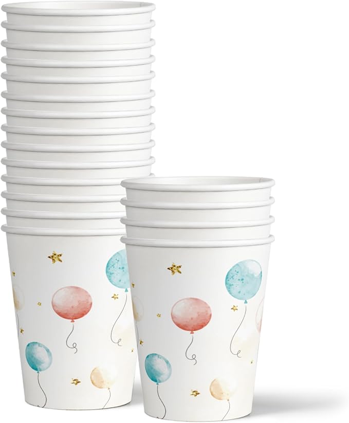 Birthday Galore Twin Teddy Bears Party Supplies - 64 Piece Twins Baby Shower Tableware Set Includes Large 9" Dinner Plates and 8" Dessert Paper Plates Napkins Cups - Kit for 16