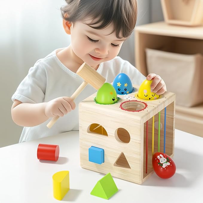 Montessori Wooden Shape Sorter Toy for 1+ Year Old - 8 Sensory Blocks, Developmental Toddler Toys, Toddler Learning Gifts for Baby Boys Girls