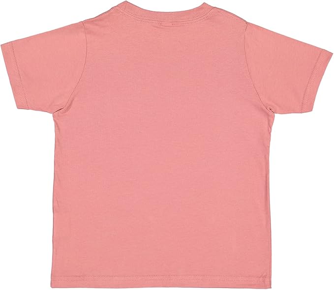 inktastic I'm The Big Sister to Twins. Toddler T-Shirt