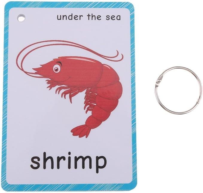 20 pcs Sea Animals Flash Cards for Toddlers | Marine Animals Learning Cards & Montessori Pocket Cards Perfect for Pre-K Wall Stickers and Insect Themed Party, Teacher/Autism Therapists Tools