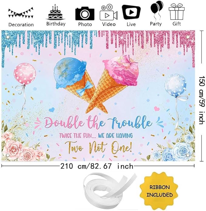 MEHOFOND 7x5ft Ice Cream Twins Baby Shower Banner Decroations, Double The Trouble Twice The Fun We are Having Two Not One Backdrop, Blue Pink Gender Reveal Party Decor Floral Gender Reveal Supplies