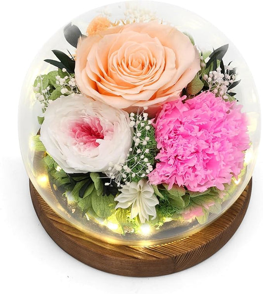 Lujechii Forever Flowers,Flowers for Delivery Prime.Birthday Gifts for Women,Moms, Lovers, Friends, Anniversaries, Preserved Flowers Unique Flower Gifts, Graduation Flower Bouquets (Champagne)