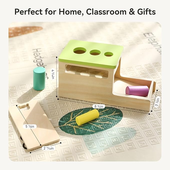 IEATFO Montessori Wooden Peg Drop Toy | Educational Size Matching Game for Toddlers | Cylindrical Drop Box Toy with Transparent Viewing Window