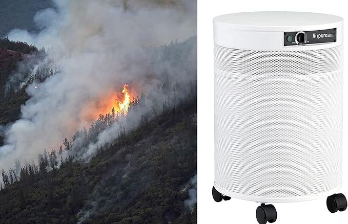 V600 Air Purifier for Home, V600 True HEPA Filter, Helps to eliminate thousands of airborne particles from air