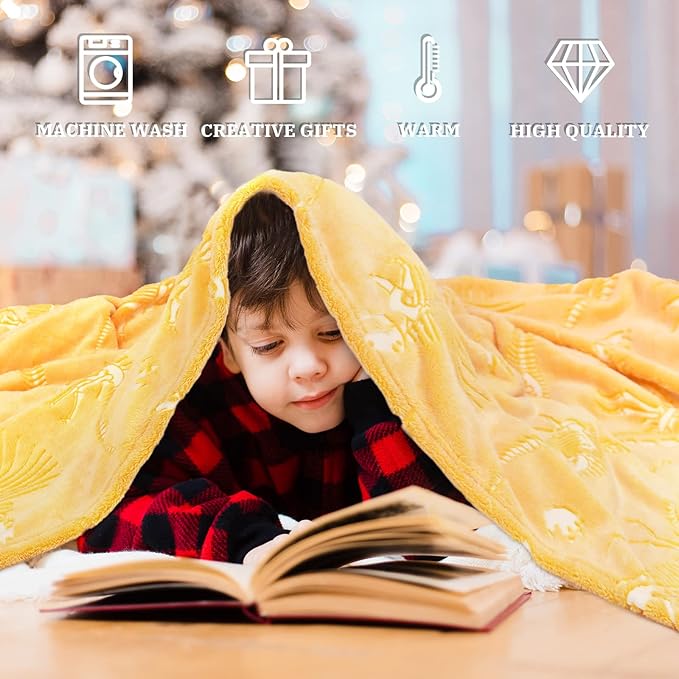 Glow in The Dark Blanket Dinosaur Throw Blanket for Boys Kids Cute Dino Blanket Unique Christmas Toys Gifts Gray Glowing Dinosaur Room Decor Blankets for Girls Teens