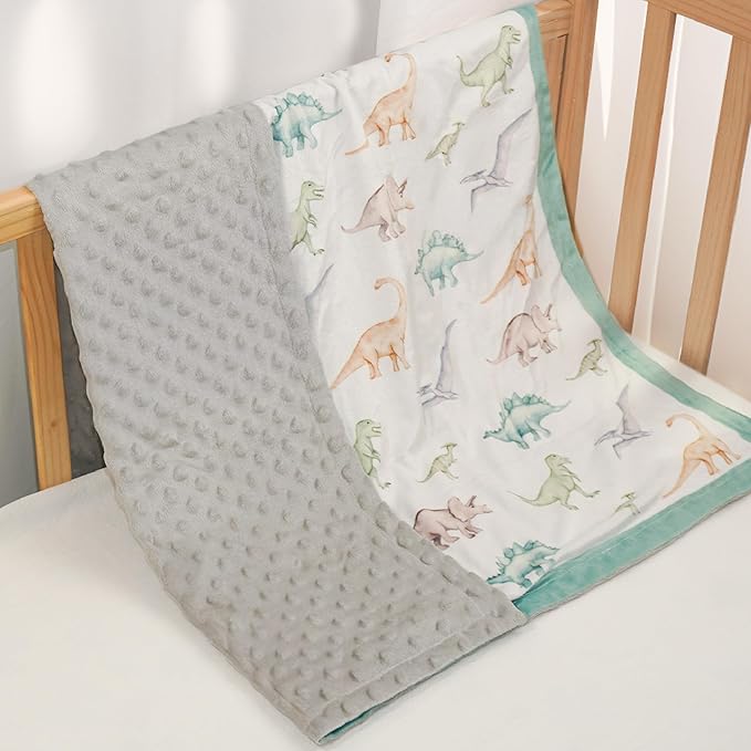 SANDJEST Dinosaurs Blanket for Boys - 30 x 40 Minky Kid Blankets Gift for Kids on Christmas Birthday