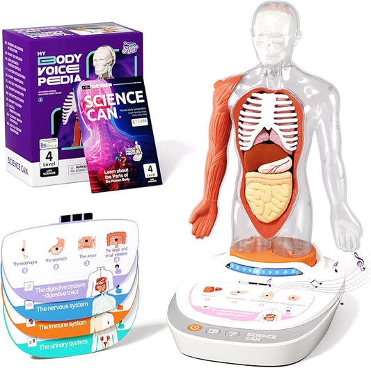 Science Can Human Body Model for Kids, Interactive Human Anatomy Talking Model - 11 Inch Realistic Anatomical Assembly Kit 15PCS Removable Parts and Guide STEM Educational Toys for Kids Aged 6+ Gifts