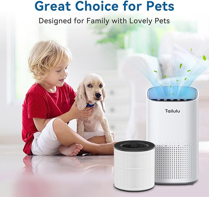 Tailulu Official AP100 Air Purifier Replacement Filter, 3-in-1 Air Purifier Filter, True H13 Filter, 1Pack