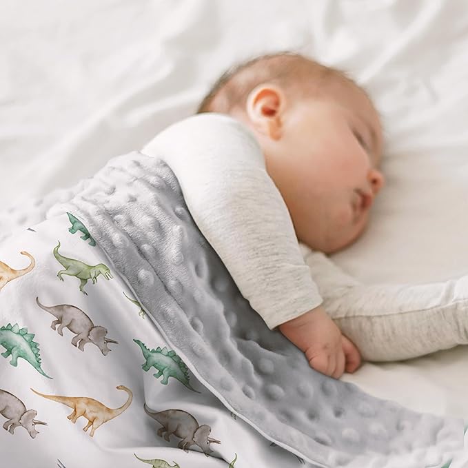 SANDJEST Dinosaurs Blanket for Boys - 30 x 40 Minky Kid Blankets Gift for Kids on Christmas Birthday
