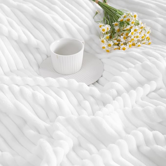 Ntbay Flannel Fleece Twin Blanket, Soft Lightweight Fuzzy Bed Blanket for Couch Sofa Bed All Seasons - White - 60 x 80 inches