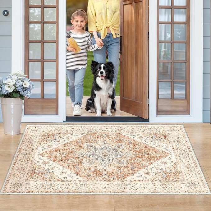 Ciicool Washable Vintage Area Rug, 2x3ft Boho Small Rug, Ultra Soft Rugs for Entryway, Non-Slip Entry Rugs Oriental Low-Pile Indoor Mat Floor Carpet for Entrance Bedroom Kitchen Bathroom Foyer Decor