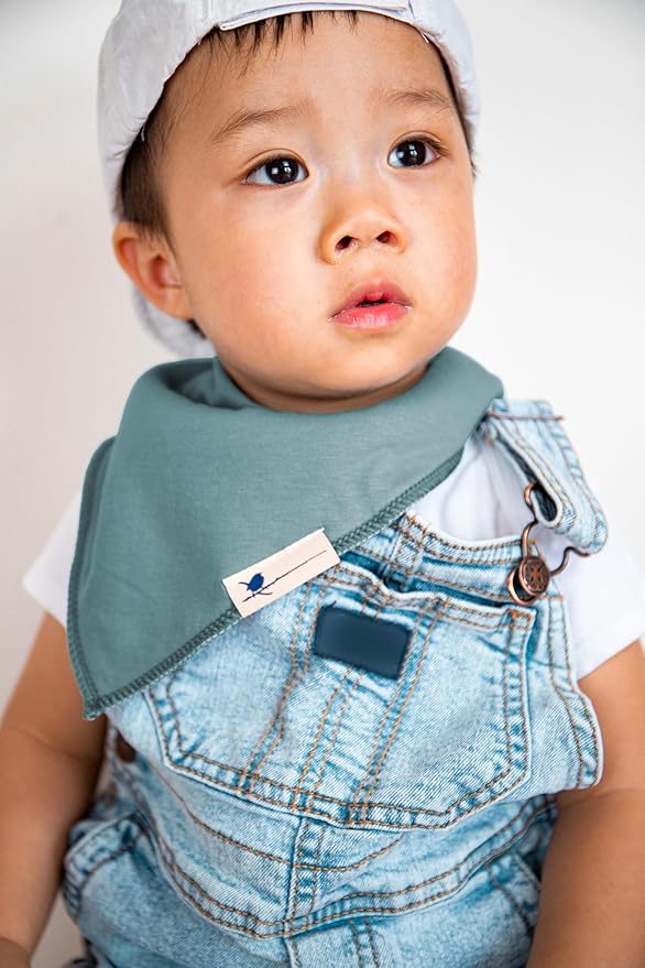 Blue Wren Magnetic Bandana Drool Bibs 5-pack - Magnetic Closure Baby Bibs - Safe, Easy, Chic Teething Bib