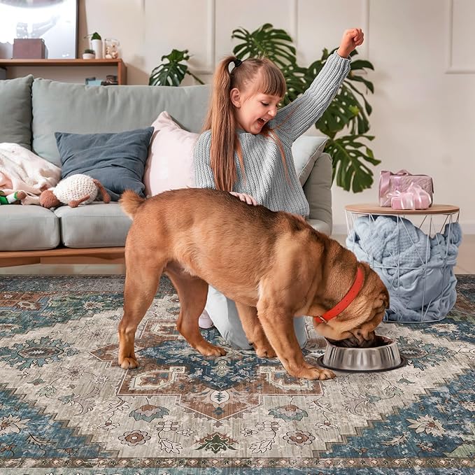 Ciicool 5x7 Area Rugs, Washable Area Rug Boho Rugs for Living Room Non-Slip Indoor Rugs Large Low-Pile Mat Floor Carpet Vintage Rug for Bedroom Office Dinning Foyer Decor