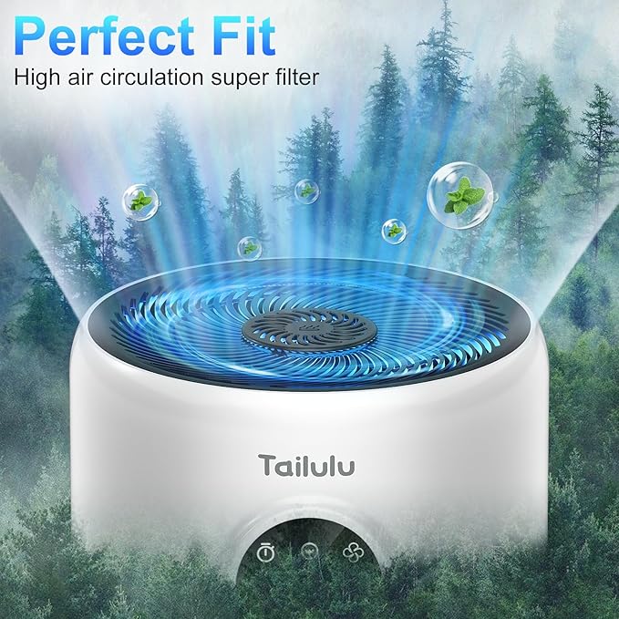 Tailulu 2 Pack D10 Replacement Filter, Air Purifier Filter for Tailulu D10 Air Purifier, 3-in-1 H13 Grade True Replacement Filte with Extra 6 Pieces Aroma Pads