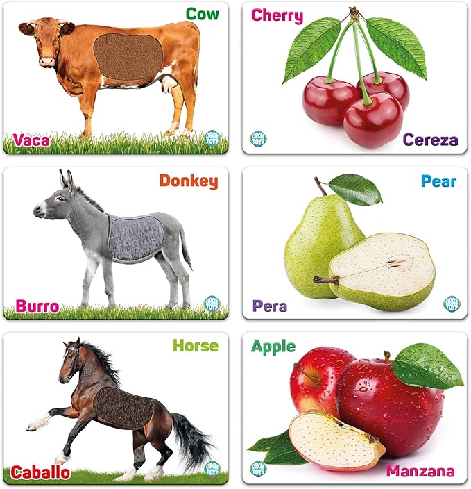 My Touch and Feel English Spanish Bilingual Picture Double Sided Sensory Flash Cards for Infant, Toddlers, Kids, Learn Animals, Fruits, and Vehicles, Fun Learning and Educational Flashcards