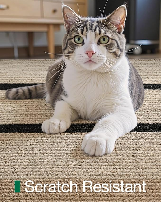 LUMI Jute Area Rug 8x10 for Living Room, Natural Handwoven Rugs Non Slip, Farmhouse Braided Carpets No Shedding for High Traffic, Dining Room, Indoor, Outdoor, Patio