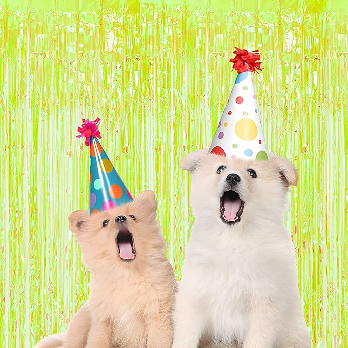 BRAVESHINE Iridescent Foil Fringe Backdrop - 2 Pack 3.2 x 6.5 ft Holographic Tinsel Curtain Party Streamers Photo Backdrop for Birthdays Dinosaur Theme Christmas Patricks Decorations - Clear Green