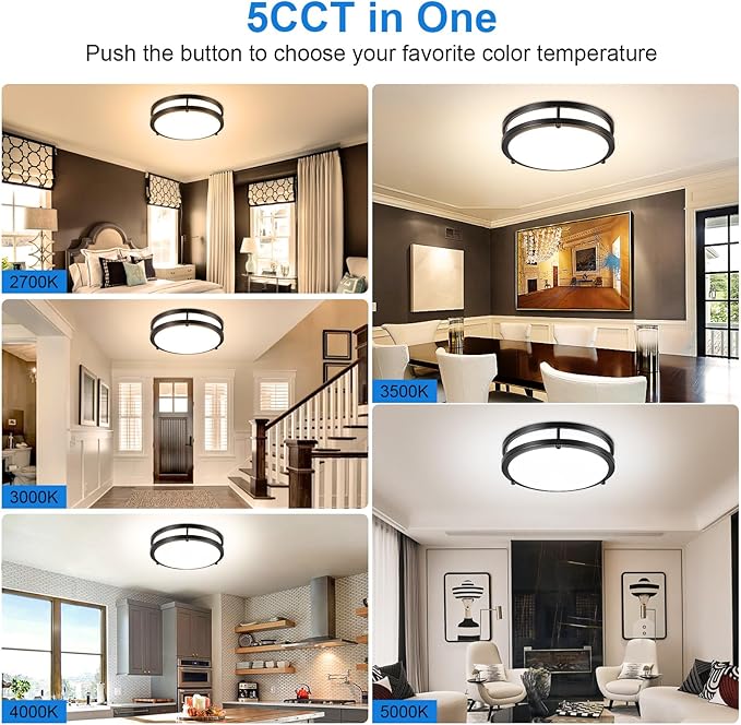 DLLT Flush Mount LED Ceiling Light: 10 Inch 5CCT (3000K-6000K) & Dimmable Ceiling Light Fixtures for Bedroom Hallway - 18W Modern Black 1600LM Super Bright Kitchen Lighting Fixtures Ceiling