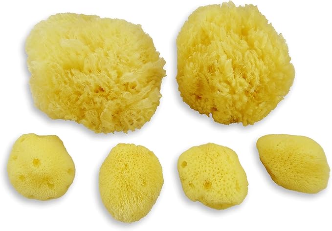 Real Sea Sponges for Babies - 6 Pk Bath Care Set, Gentle, Kind on Skin, for Bathing Washing Body Eyes, Ears Nose, Also for Newborn Toddler Kids; Baby Shower Spa Gift by Contented Infant®
