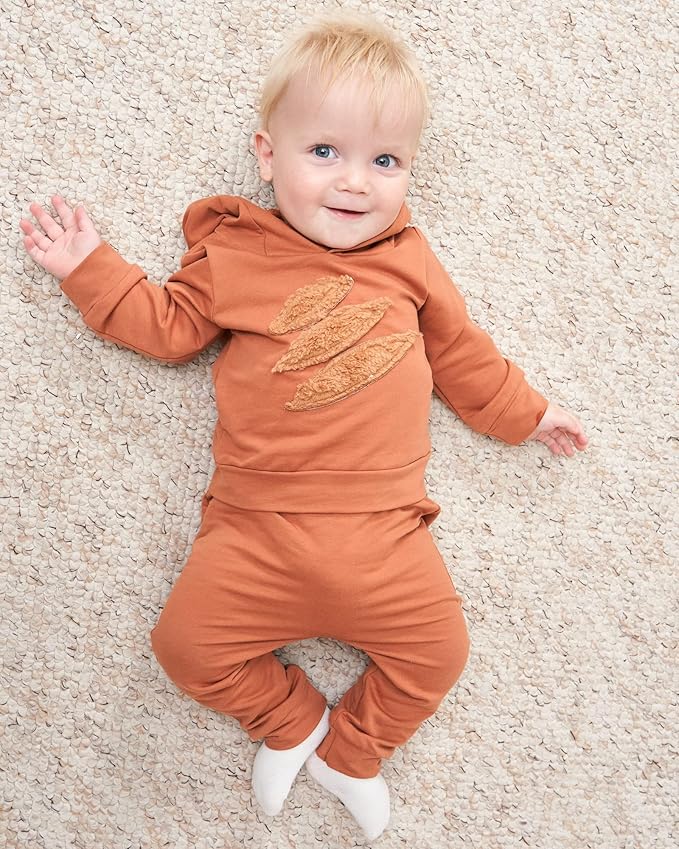 Toddler Baby Boy Clothes Infant Newborn Boy Outfit Long Sleeve Hoodie Sweatshirt Pants Fall Winter Clothes Set