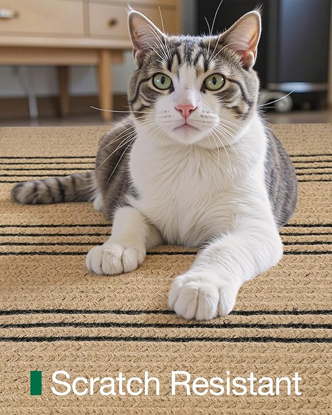 LUMI Jute Area Rug 5x8 for Living Room, Natural Handwoven Rugs Non Slip, Farmhouse Braided Carpets No Shedding for High Traffic, Dining Room, Indoor, Outdoor, Patio