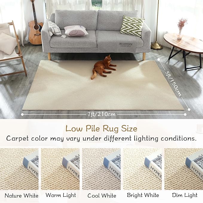 Carvapet 6x9 Solid Large Rugs for Living Room Bedroom Dorm, 6 x 9 Washable Off-White Low Pile Jute Carpet with Rubber Backing, Foldable, Non Slip Thin Area Rug