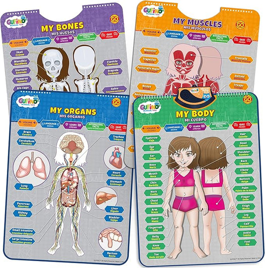 Bilingual Human Body Model for Kids – Interactive Human Anatomy for Kids with Games & Quizzes – Educational Posters for Learning Body Parts, Bones & Organs. English and Spanish for Kids.