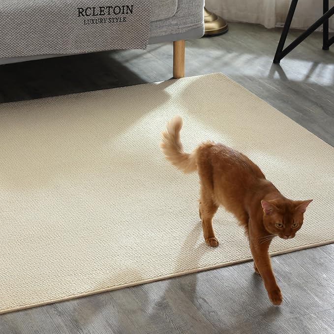 Carvapet 5x7 Solid Rugs for Living Room Bedroom, Washable Off-White Low Pile Jute Carpet with Rubber Backing, Foldable, Non Slip Thin Area Rug